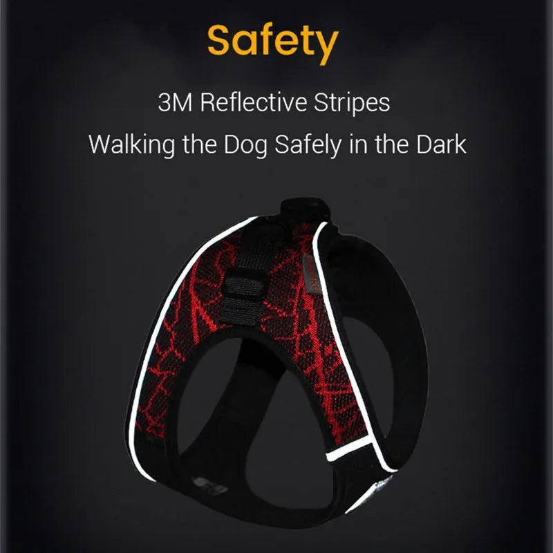 Elvory Harnais Anti-Traction Réfléchissant pour Petit et Moyen Chien