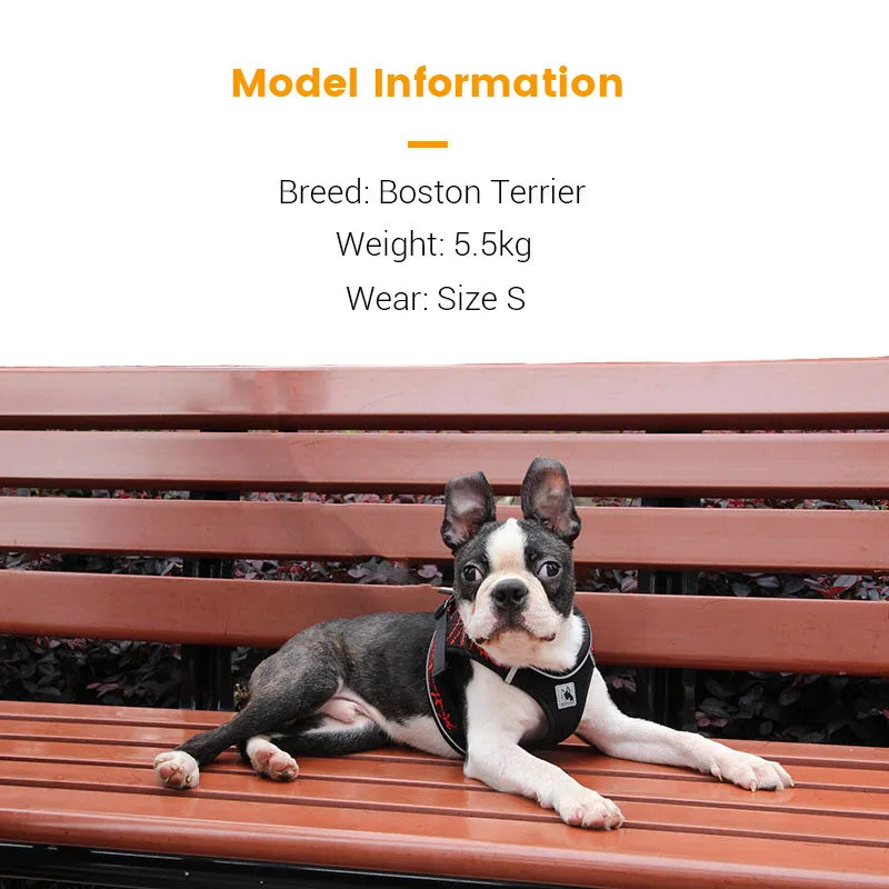 Elvory Harnais Anti-Traction Réfléchissant pour Petit et Moyen Chien