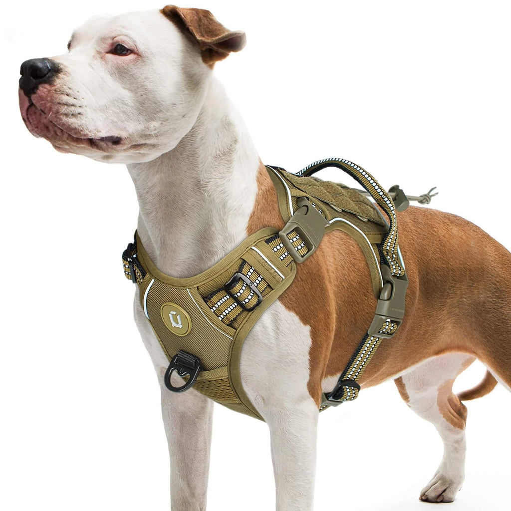 Ravik Harnais Tactique Anti-Traction pour Chien