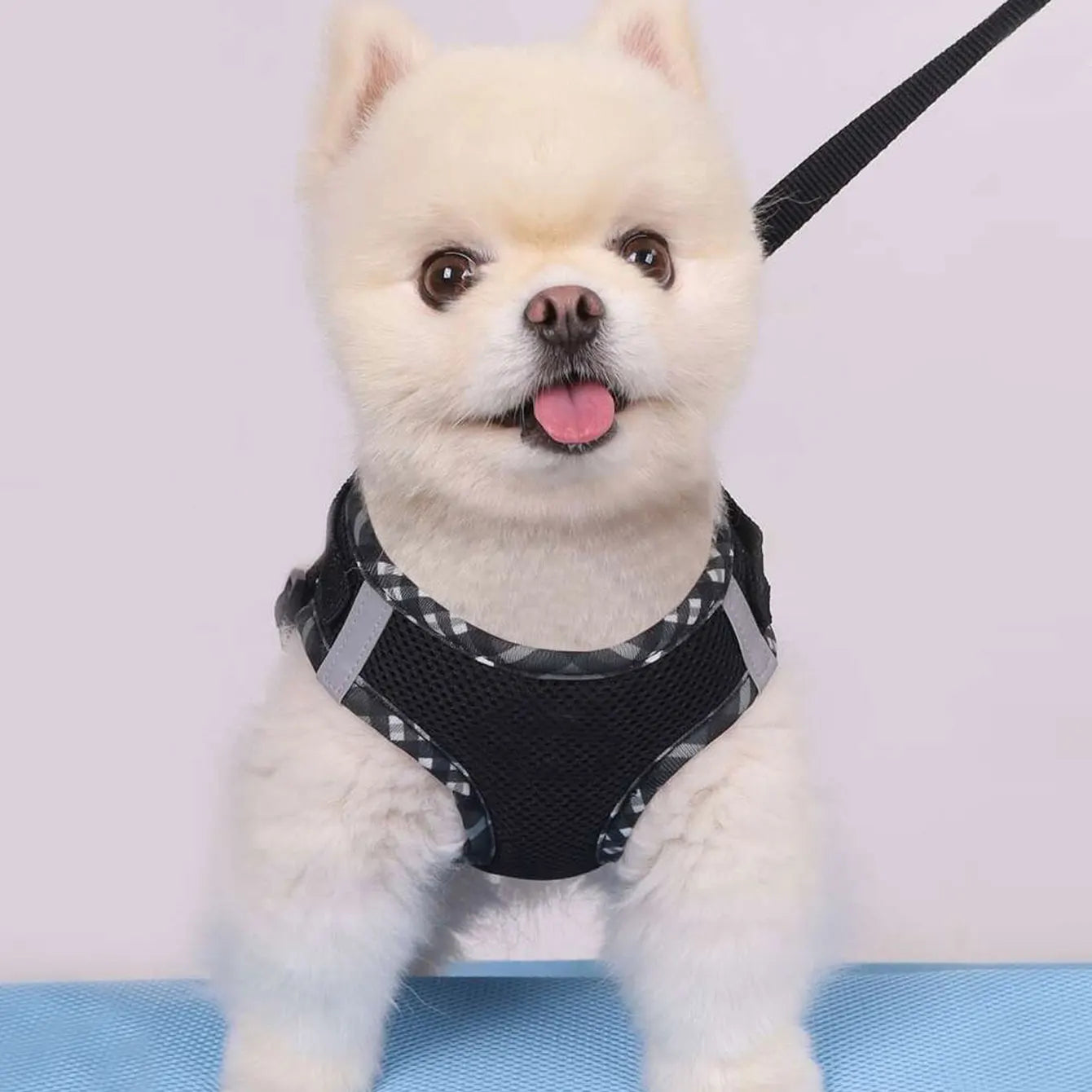 Norvyl Harnais Anti-Traction avec Laisse pour Chien