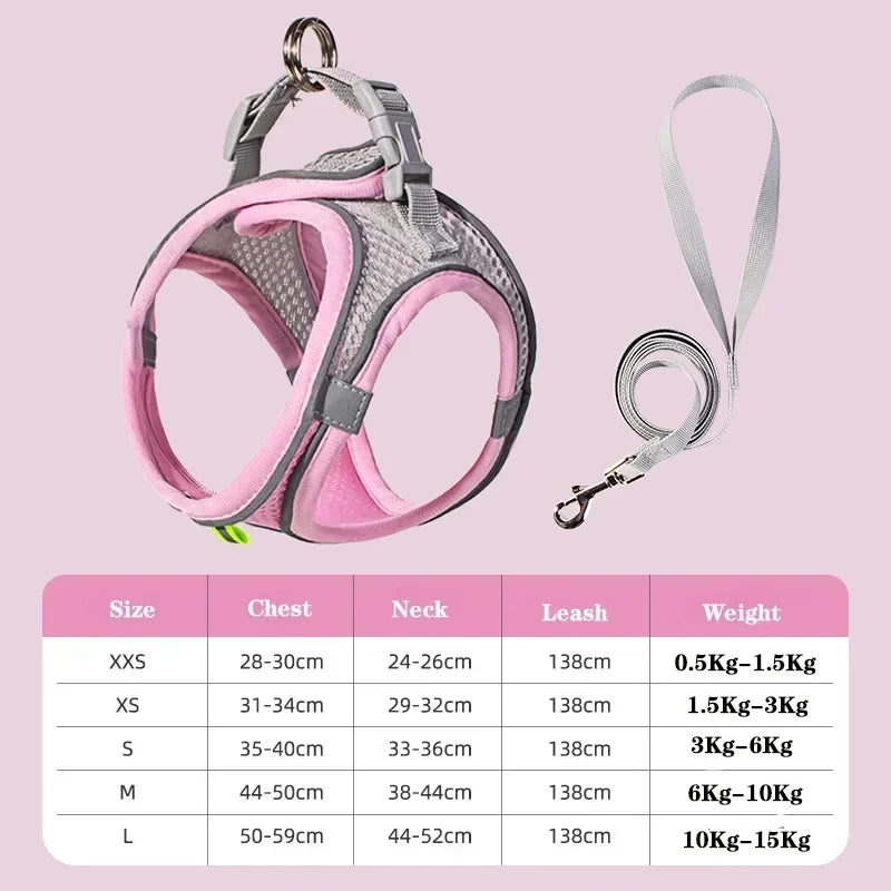 Virel Harnais avec Laisse pour Petit Chien