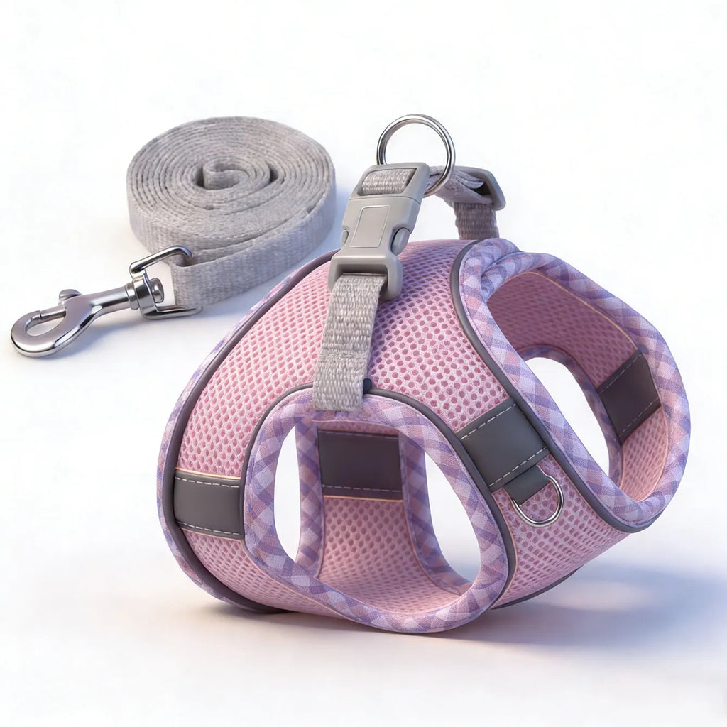 Norvyl Harnais Anti-Traction avec Laisse pour Chien