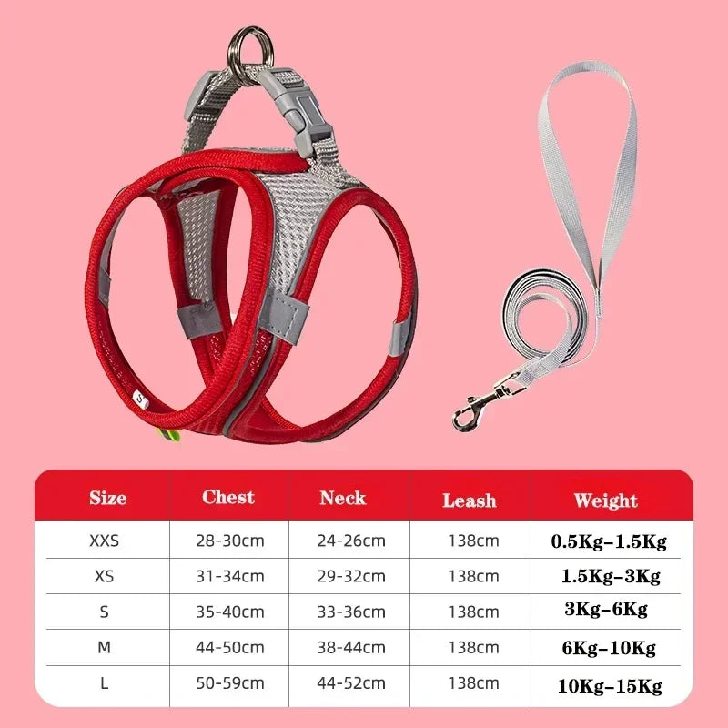 Virel Harnais avec Laisse pour Petit Chien